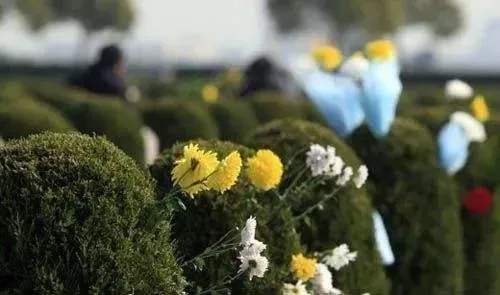 殡葬一条龙服务的内容有哪些 殡葬一条龙服务的内容有哪些